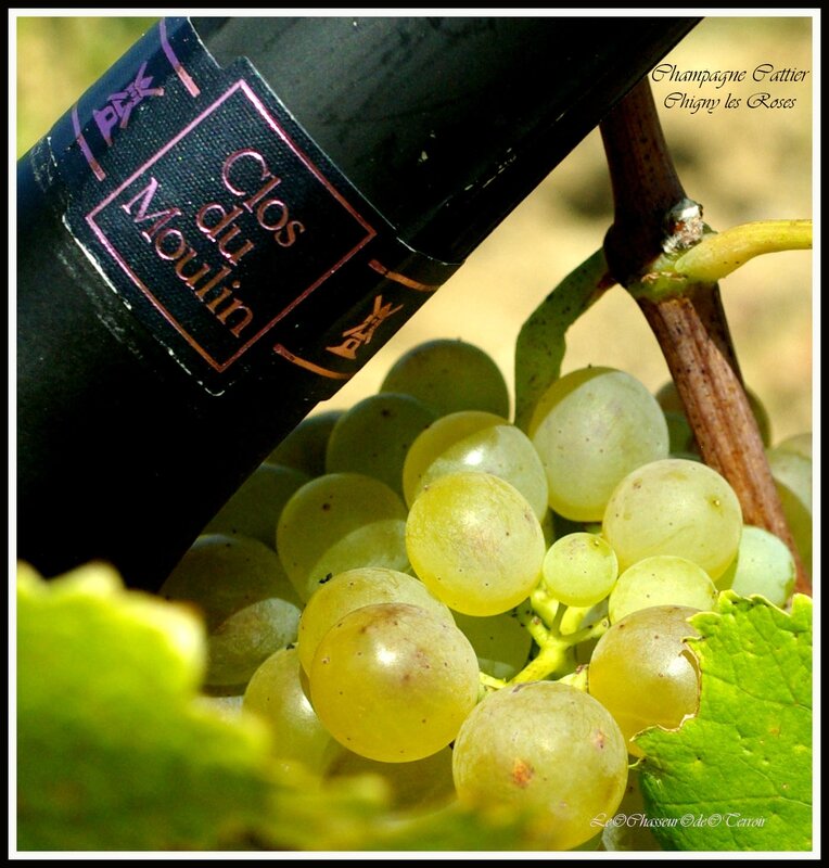 IMGP9064mmm
