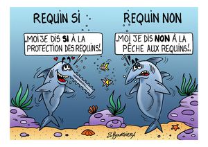 requin si coul