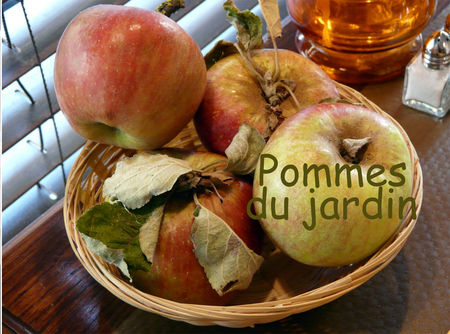 Pommes_du_jardin_royannais