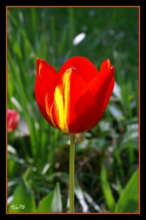 PICT8368_20