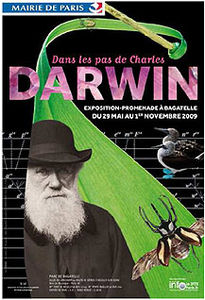 Darwin___Bagatelle