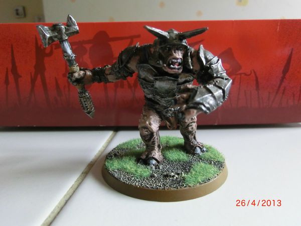 Games Workshop : Le seigneur des anneaux / lord of the ring / l'armée