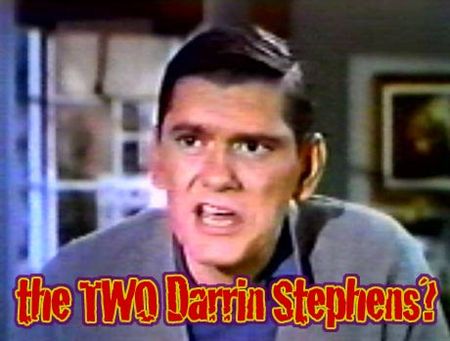 darin460_2