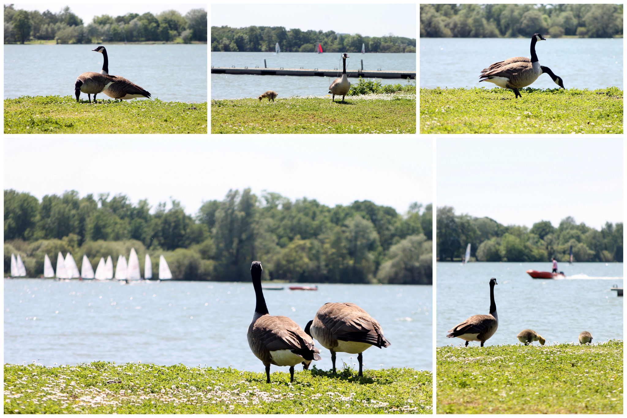 Base Nautique De Saint Quentin En Yvelines Base nautique de Saint Quentin en Yvelines - Un autre regard