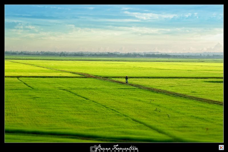 Train 0011