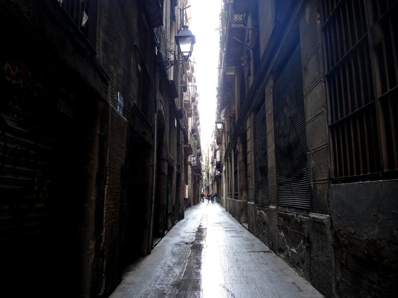 DSCN4679