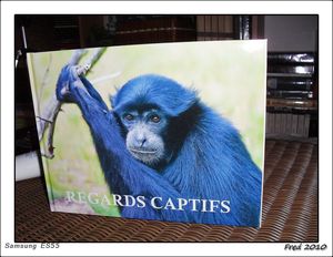 SDC10016_sign_e