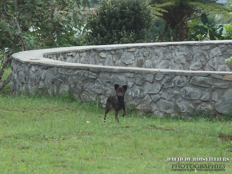 2006-11-19_PICT4323_DiMAGE A1_ISO 100_50