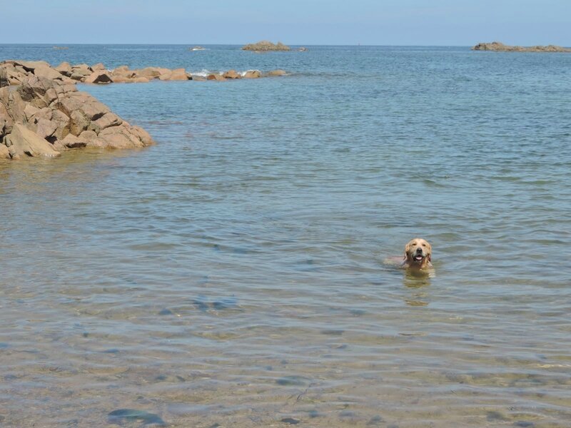 _copie-0_DSCN9133
