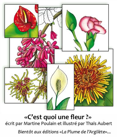 présentation-livre