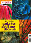 Plantes_a_feuillage_decoratif