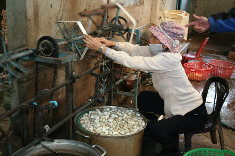LE TISSAGE DE LA SOIE