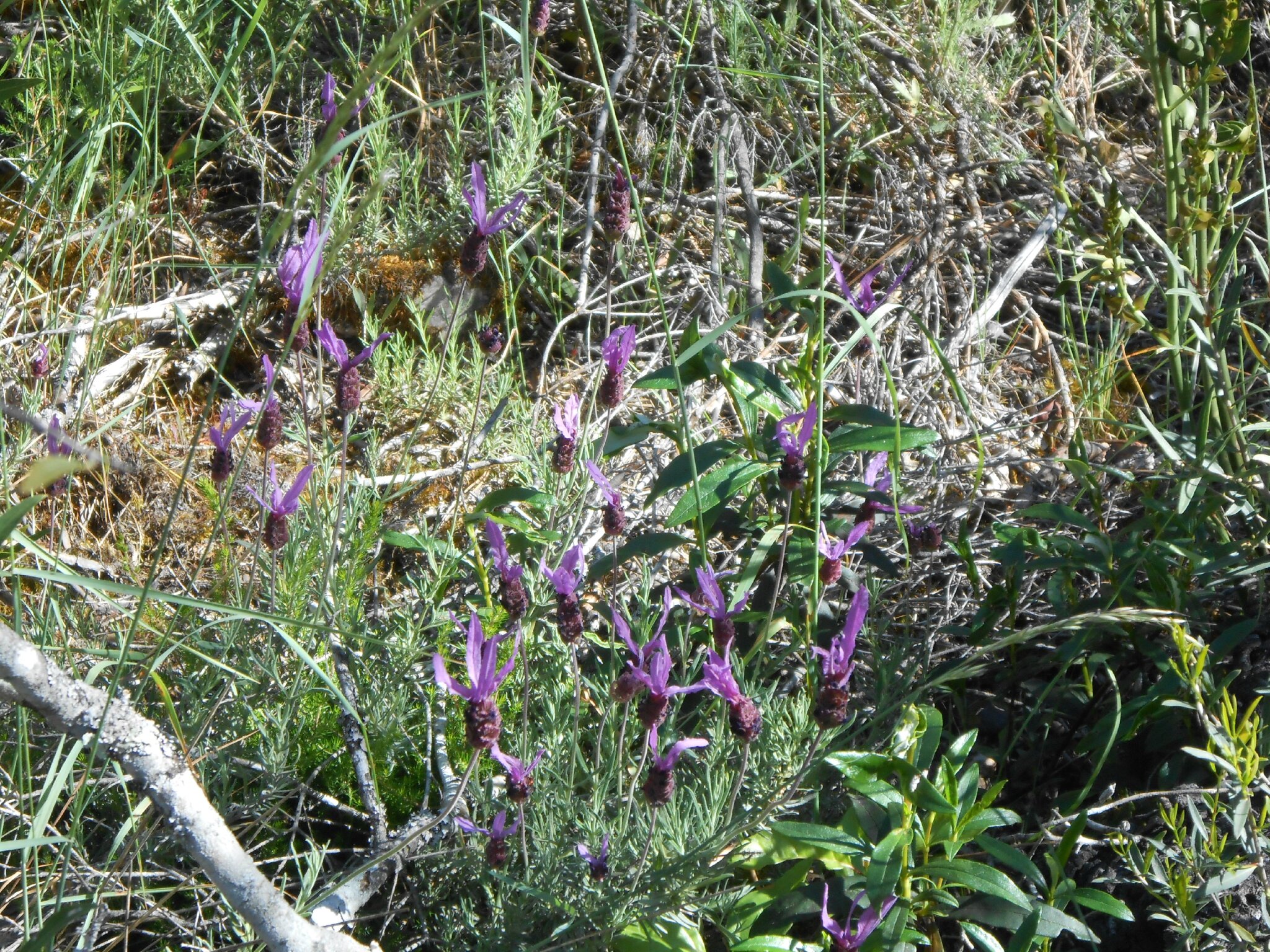 panneau point de rencontre