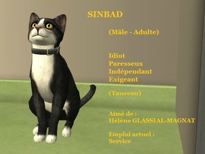 SINBAD