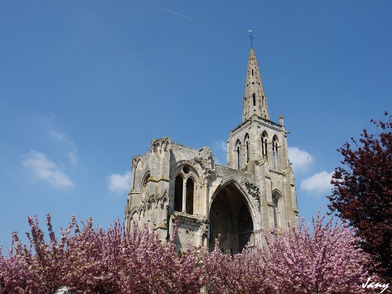 DSC00095