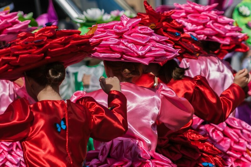 Fleurs de Donostia