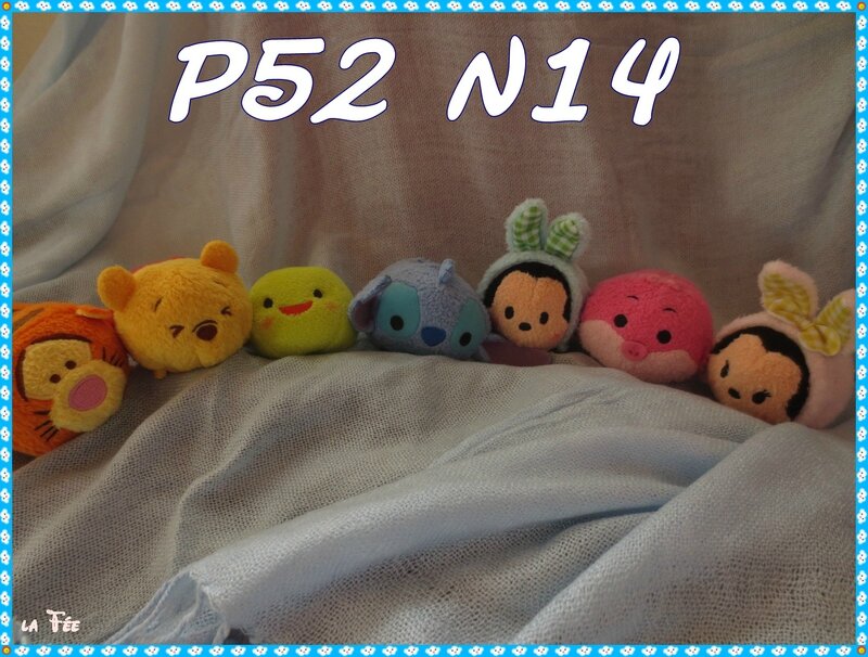 p52 n14 (1)