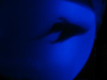IMG_0069