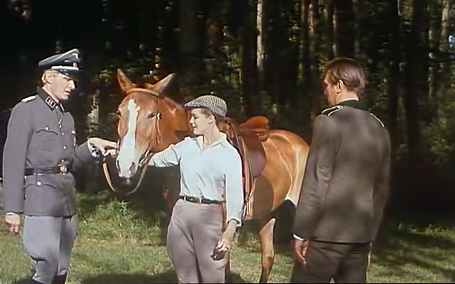 site de rencontre entre amoureux des animaux en site de rencontre entre amoureux des animaux en