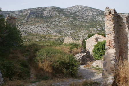 DSC01702