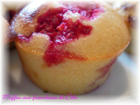muffinframb