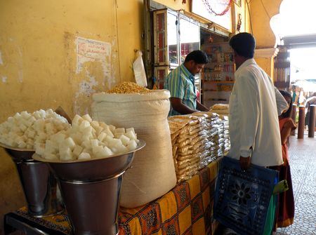 Mysore___Calicut___arriv_e_Cochin_265
