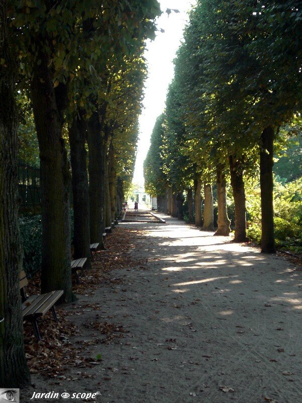 Jardin des Plantes d'Orléans