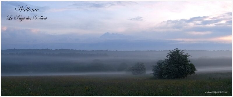 R0051817m