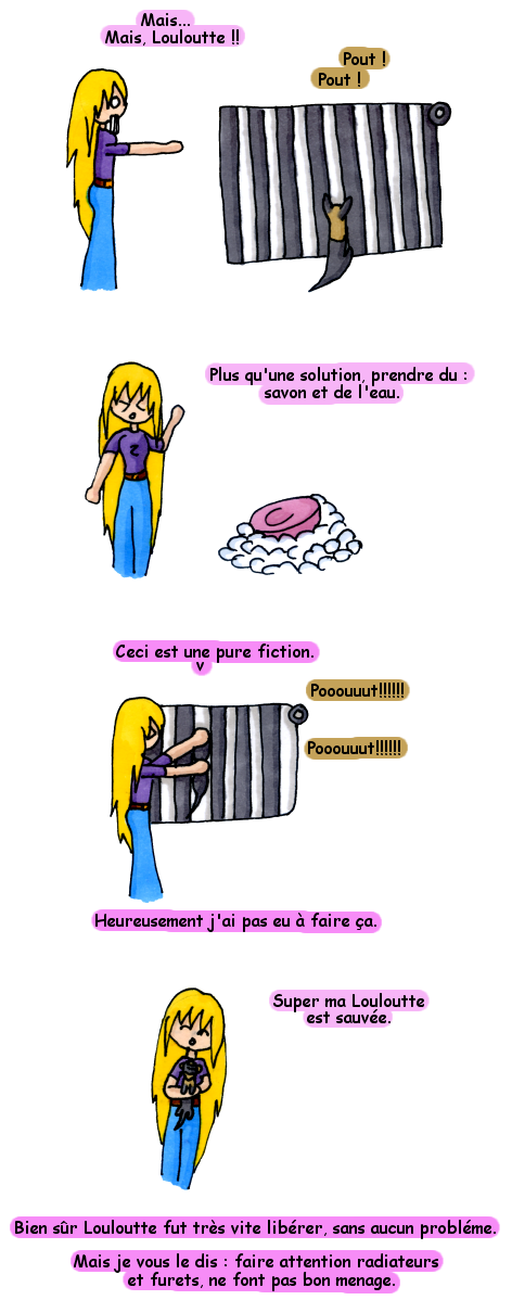 furetradiateur2