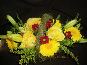 IMGP0139