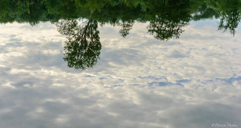 reflets ou le monde à l'envers, ©Patrick