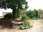 Chalon_sur_Sa_ne_6