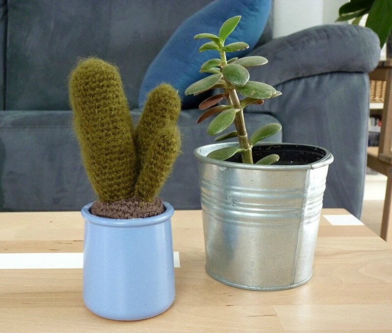 DIY cactus poilu au crochet