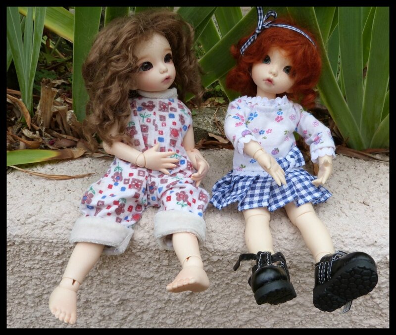 Rencontre trefle