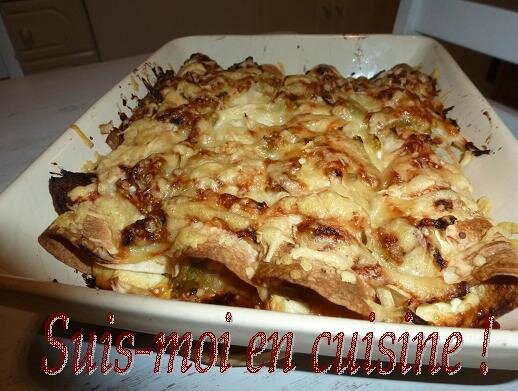 Enchiladas 17