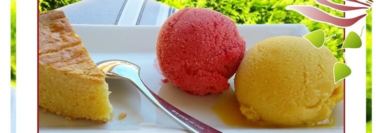 sorbets aux purées de fruits sorbets aux purées de fruits