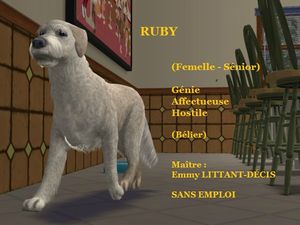 RUBY
