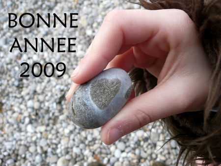 bonne_annee_2009
