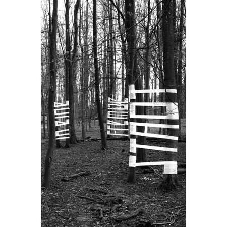 teil_wald_slanted