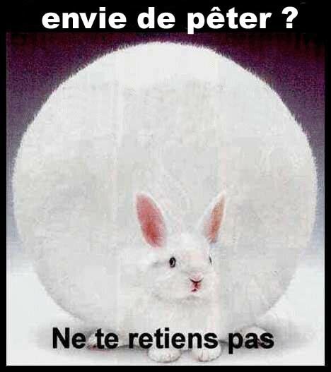 Envie de prêter votre voix pour mon projet ? - Page 2 8604723