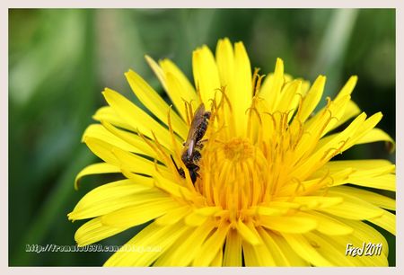 IMG_4048_sign_e