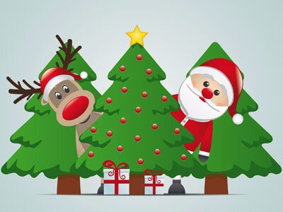 18867-sapin-de-noel-nos-conseils-malins