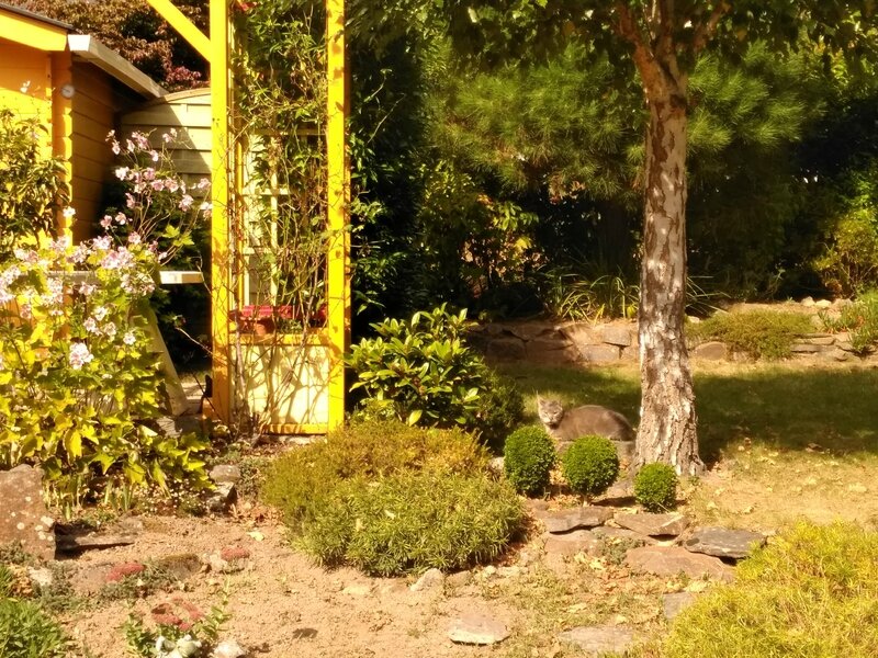 16 09 22 Un_intrus_ds_le_jardin 14h34
