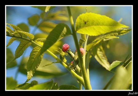 IMG_8524_sign_e