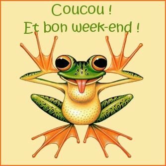 coucou_20grenouille