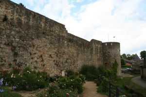 IMG_6564