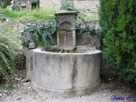 Photo_296