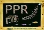 PPR 2014