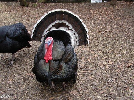 Photo_1149