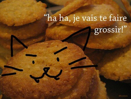 20_Janvier_2007_haha